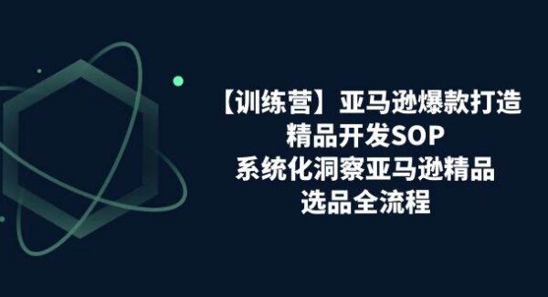 【训练营】亚马逊爆款打造之精品开发SOP，系统化洞察亚马逊精品选品全流程