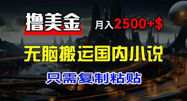 最新赚美金项目教程：国内小说搬运国外，轻松月入2500+美金，新手也能上手