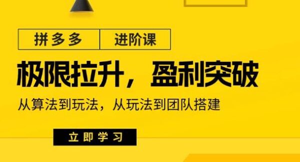 拼多多·进阶课：极限拉升/盈利突破：从算法到玩法 从玩法到团队搭建-18节