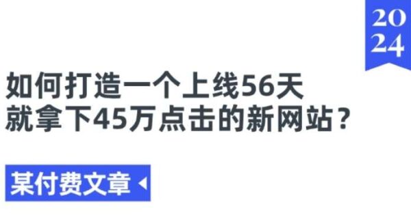 如何56天内打造45万点击量的新网站：新网站快速增长的实战教程秘诀，出海案例深度解析