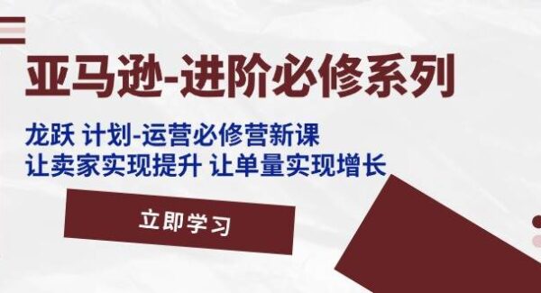 亚马逊运营提升课：龙跃计划，流量增长与广告架构搭建—暮沉