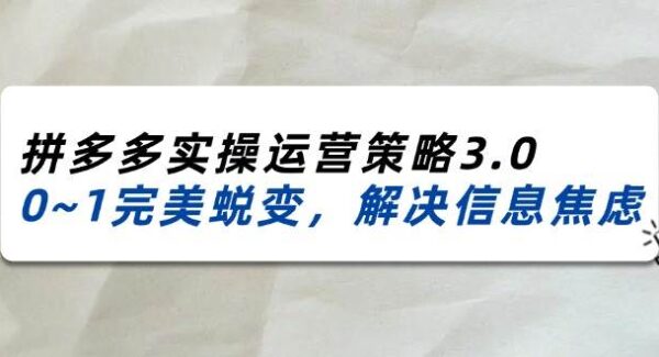 2024_2025拼多多实操运营策略3.0，0~1完美蜕变，解决信息焦虑（38节）