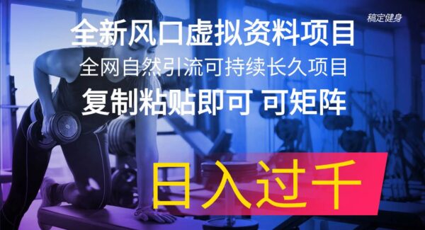 全新风口虚拟资料项目 全网自然引流可持续长久项目 复制粘贴即可可矩阵