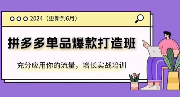 2024拼多多-单品爆款打造班(更新6月)，充分应用你的流量，增长实战培训