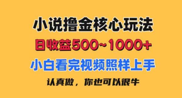 小说撸金核心玩法，日收益500-1000+，小白看完照样上手，0成本有手就行