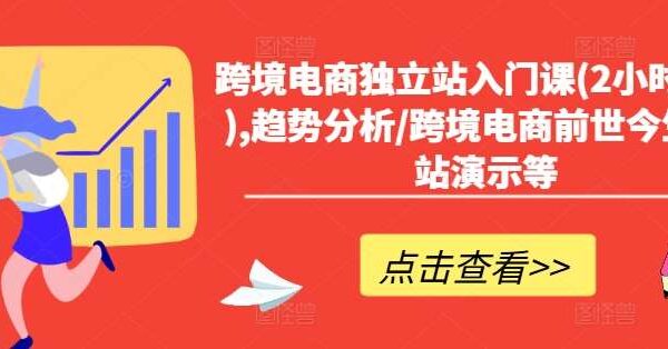 跨境电商独立站入门课(2小时精华),趋势分析/跨境电商前世今生/建站演示等