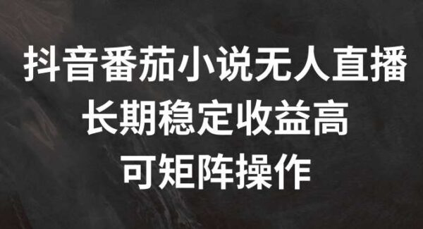 抖音番茄小说无人直播项目教程：长期稳定高收益，无需出镜，一部手机全民可操作