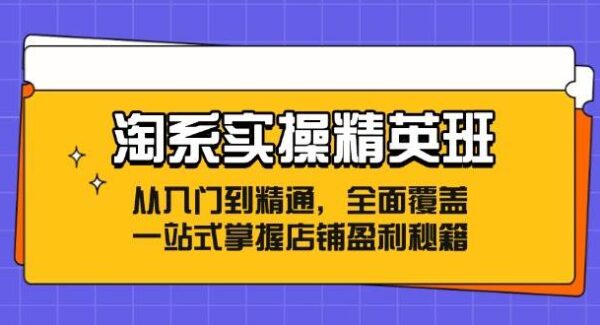 淘系实操精英班：从入门到精通，全面覆盖，一站式掌握店铺盈利秘籍