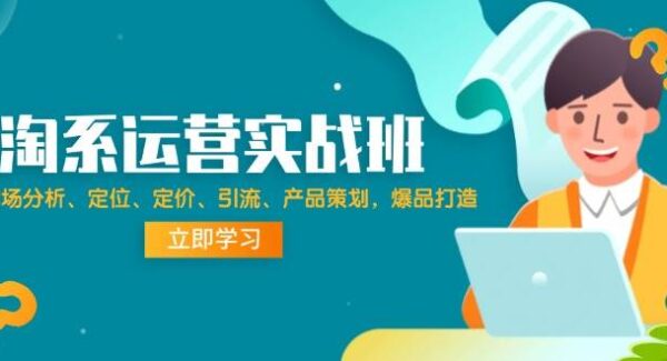 淘系运营实战班：市场分析、定位、定价、引流、产品策划，爆品打造