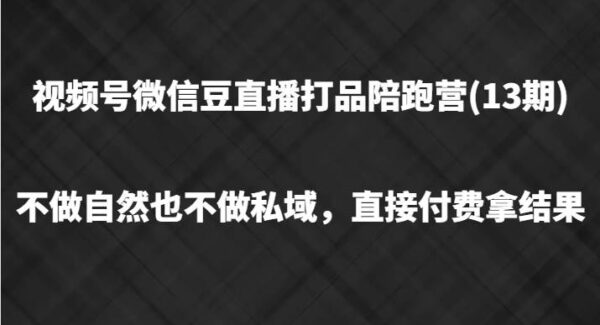 视频号电商实战：微信豆直播打品带货教程，选品到运营，全方位引流变现课程