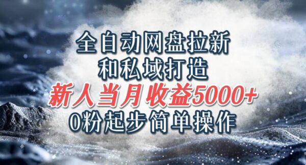 全自动网盘拉新项目教程：0粉起步，私域打造简单操作，新人月入5000以上