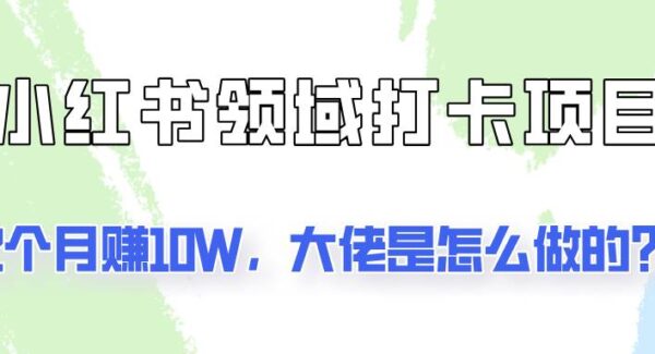 通过小红书领域打卡项目2个月赚10W，大佬是怎么做的？