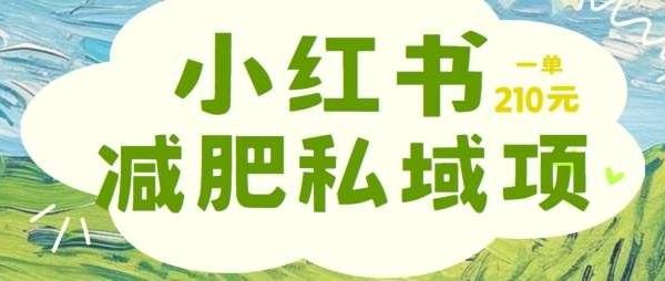 私域变现新项目：小红书减肥粉，私域项目210元/单，小白也能操作