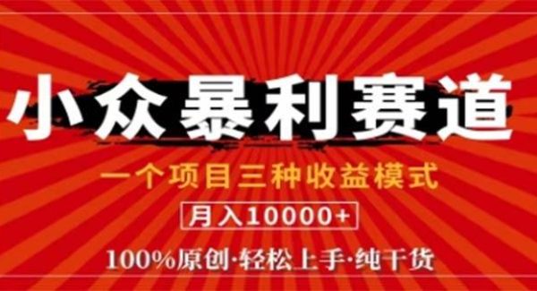 视频号最新爆火赛道，三种可收益模式，0粉新号条条原创条条热门 日入1000+