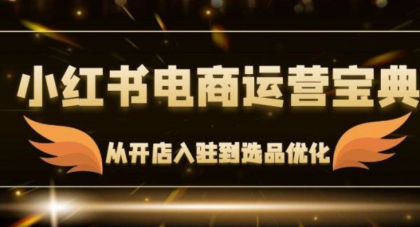 小红书电商运营宝典：从开店入驻到选品优化，一站式解决你的电商难题