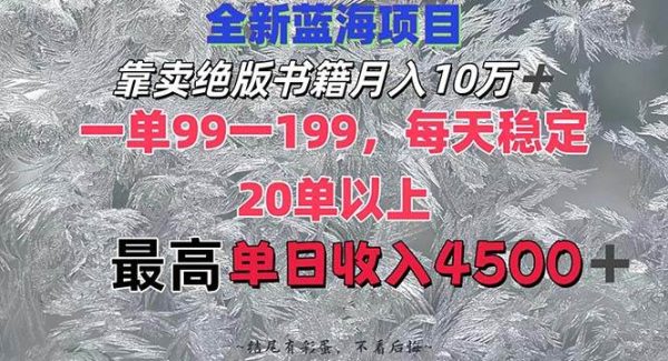 小红书变现新策略：卖绝版书籍，月入10万+实操课