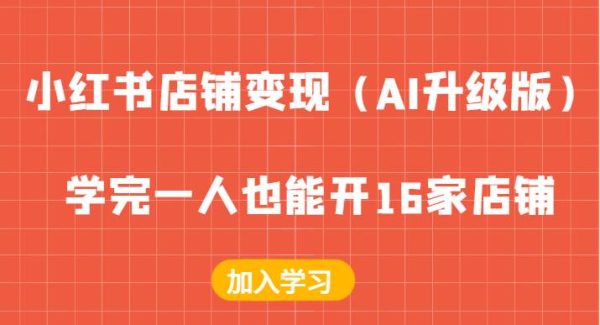 小红书店铺变现（AI升级版），学完一人也能开16家店铺