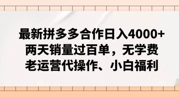 拼多多最新合作日入4000+两天销量过百单，无学费、老运营代操作、小白福利