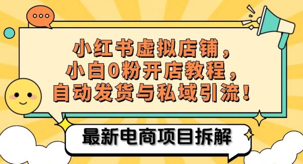 小红书电商，小白虚拟类目店铺教程，被动收益+私域引流