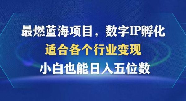 最燃蓝海项目 数字IP孵化 适合各个行业变现 小白也能日入5位数