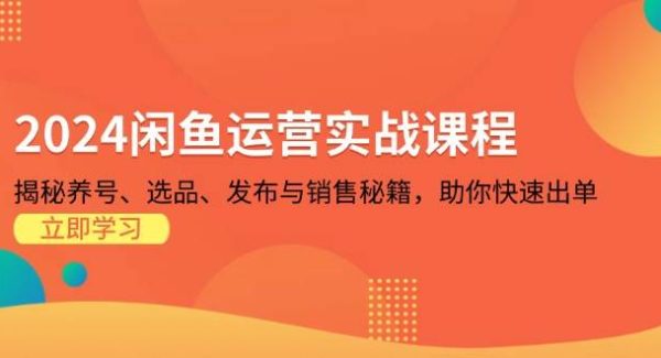 2024闲鱼运营实战课程：揭秘养号、选品、发布与销售秘籍，助你快速出单