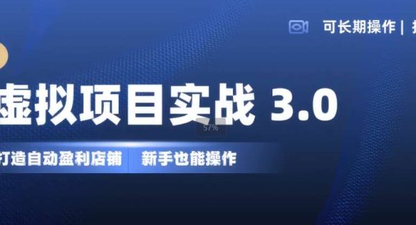 虚拟项目实战3.0，打造自动盈利店铺，可长期操作投入低，新手也能操作