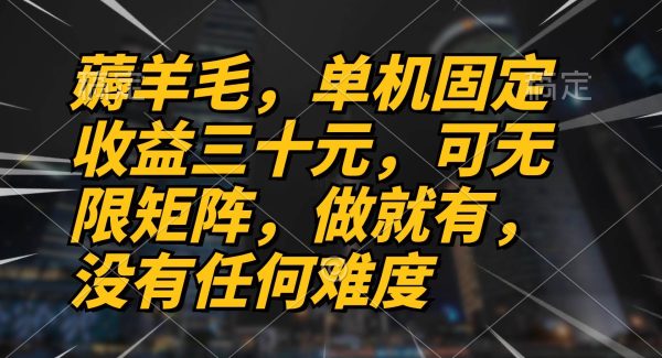 薅羊毛项目，单机三十元，做就有，可无限矩阵 无任何难度