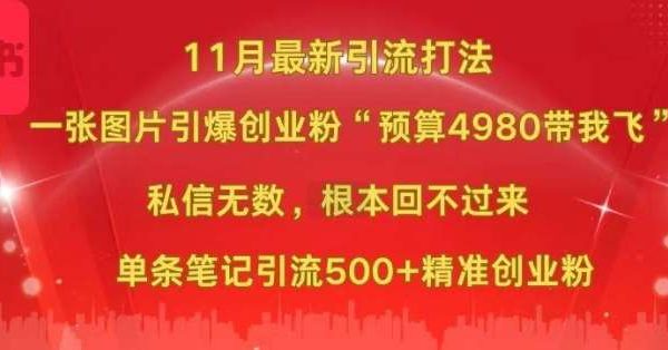 小红书11月最新图片打粉，一张图片引爆创业粉，“预算4980带我飞”，单条引流500+精准创业粉