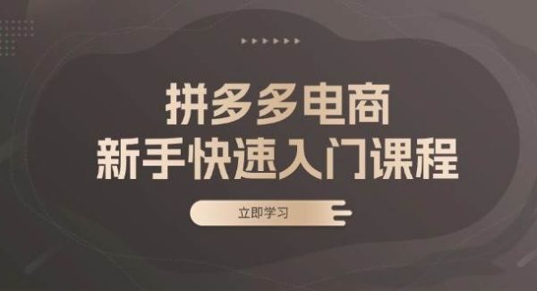 拼多多电商新手快速入门课程：涵盖基础、实战与选款，助力小白轻松上手