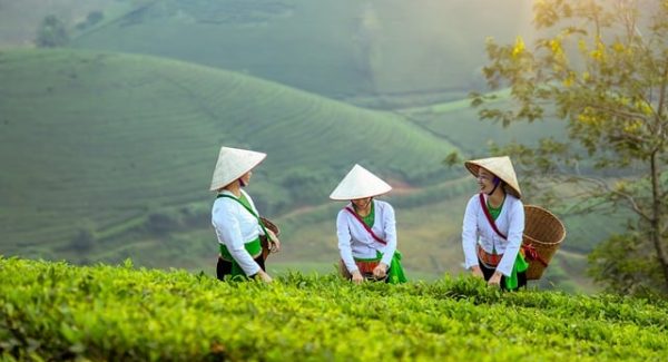 创业网致富网是真的吗？深度评测与真实用户反馈