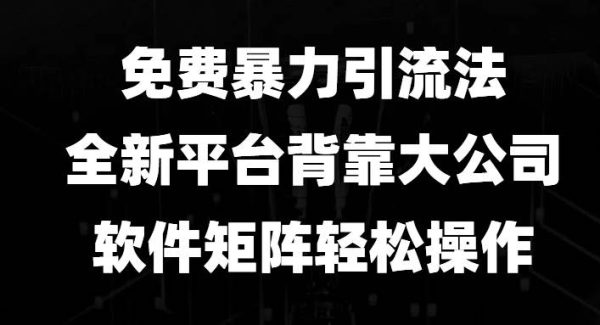 免费暴力引流法，全新平台，背靠大公司，软件矩阵轻松操作