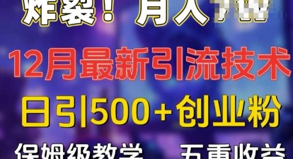 炸裂!揭秘12月最新日引流500+精准创业粉，多重收益保姆级教学