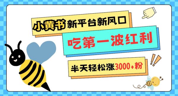 小黄书重磅来袭，新平台新风口，管理宽松，半天轻松涨3000粉，第一波红利等你来吃