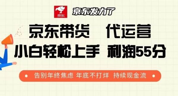 京东带货 代运营 利润55分 告别年终焦虑 年底不打烊 持续现金流