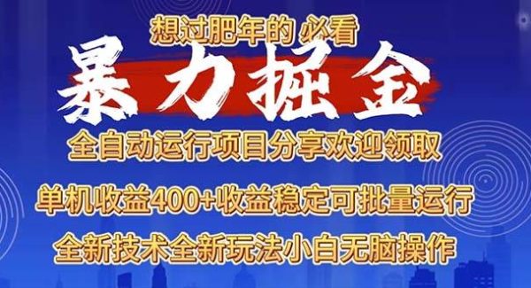 2025暴力掘金项目，想过肥年必看！