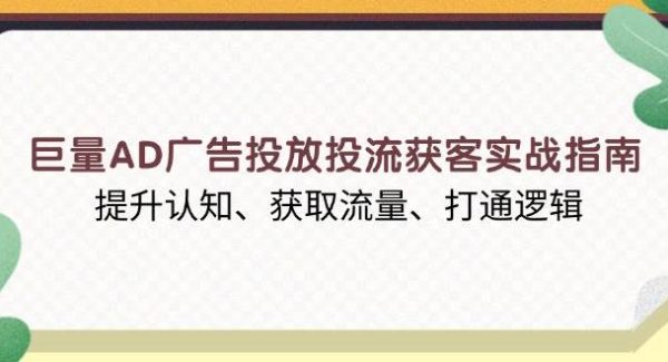 巨量AD广告投放投流获客实战指南，提升认知、获取流量、打通逻辑