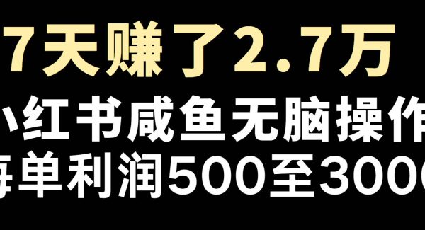 全网首发，7天赚了2.6万，2025利润超级高！
