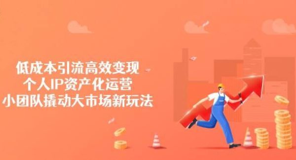 低成本引流高效变现，个人IP资产化运营，小团队撬动大市场新玩法
