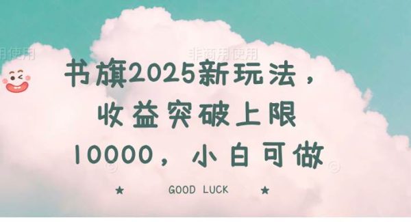 书旗2025新玩法，收益突破上限10000，小白可做
