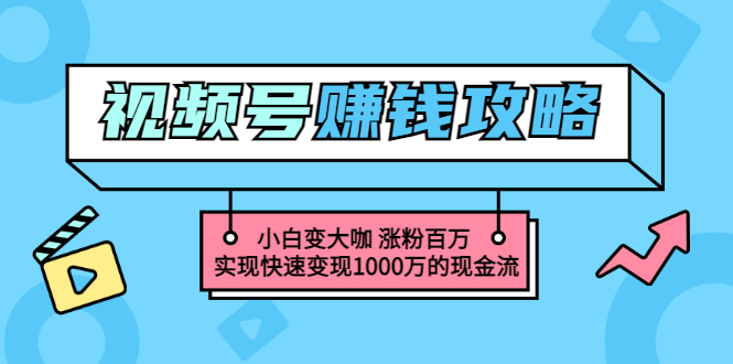 玩转微信视频号赚钱：小白变大咖 涨粉百万 实现快速变现1000万的现金流