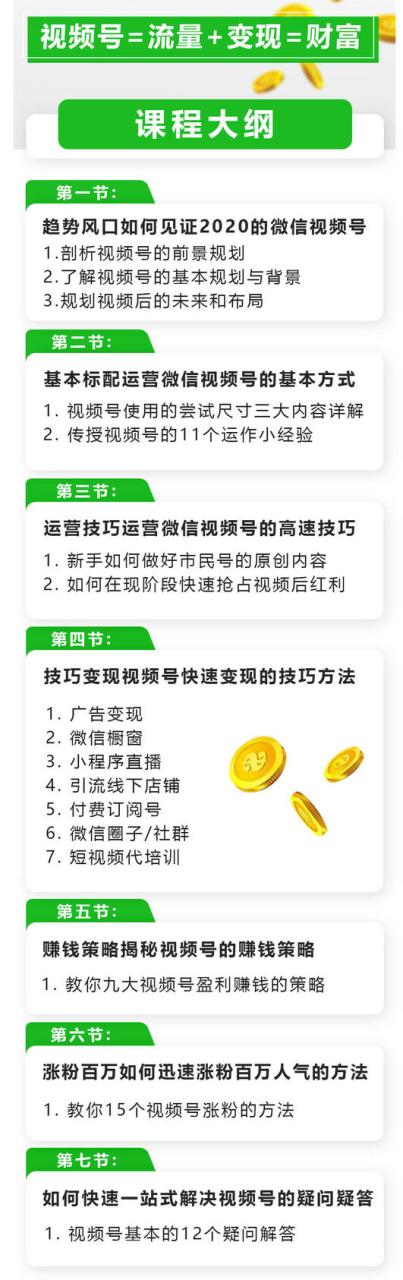 玩转微信视频号赚钱：小白变大咖 涨粉百万 实现快速变现1000万的现金流